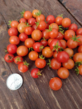 Charger l'image dans la galerie, Tomate Groseille Hawaïenne