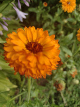 Load image into Gallery viewer, Souci double ball's orange