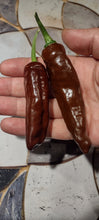 Charger l'image dans la galerie, Piment Éthiopian brown berbere