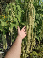 Charger l'image dans la galerie, Amarante cascade verte - Emerald Tassels