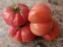 Charger l'image dans la galerie, Tomate OxHeart (Cœur de Bœuf)