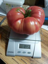 Charger l'image dans la galerie, Tomate Mémé de Beauce