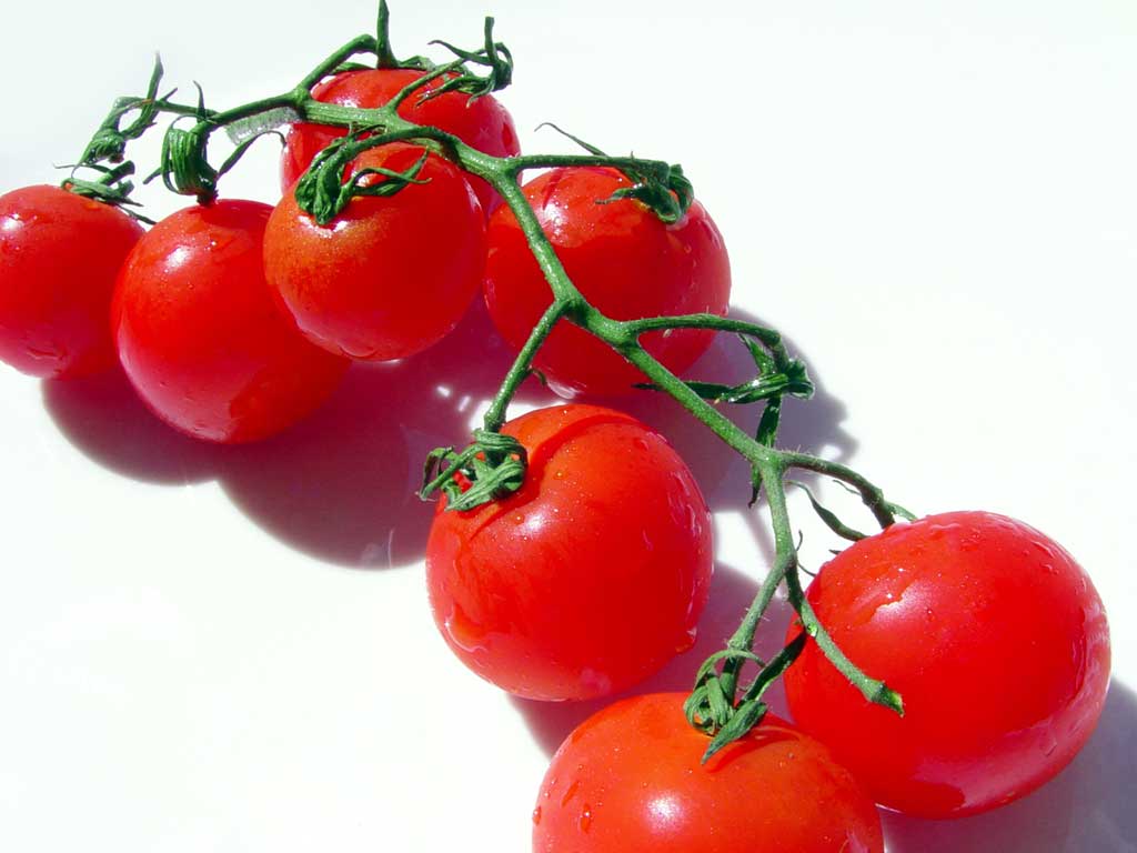 Petite Tomate Cerise Rouge – vegetomix