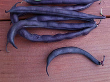 Charger l'image dans la galerie, Haricot Mauve Royal