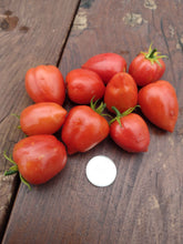 Load image into Gallery viewer, Micro-Dwarf Heartbreaker Tomato
