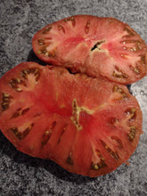 Load image into Gallery viewer, Cherokee Purple Tomato
