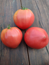 Load image into Gallery viewer, Hungarian Heart Tomato
