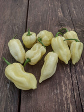 Load image into Gallery viewer, White Scotch Bonnet Pepper
