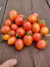 Load image into Gallery viewer, Tomate cerise red zebra
