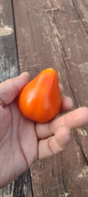 Load image into Gallery viewer, Tomate poire orange géante
