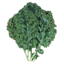 Load image into Gallery viewer, Siberian Kale

