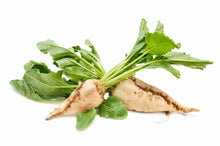 Load image into Gallery viewer, White Sugar Beet
