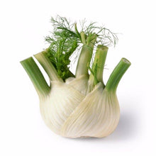 Load image into Gallery viewer, Florence Fennel
