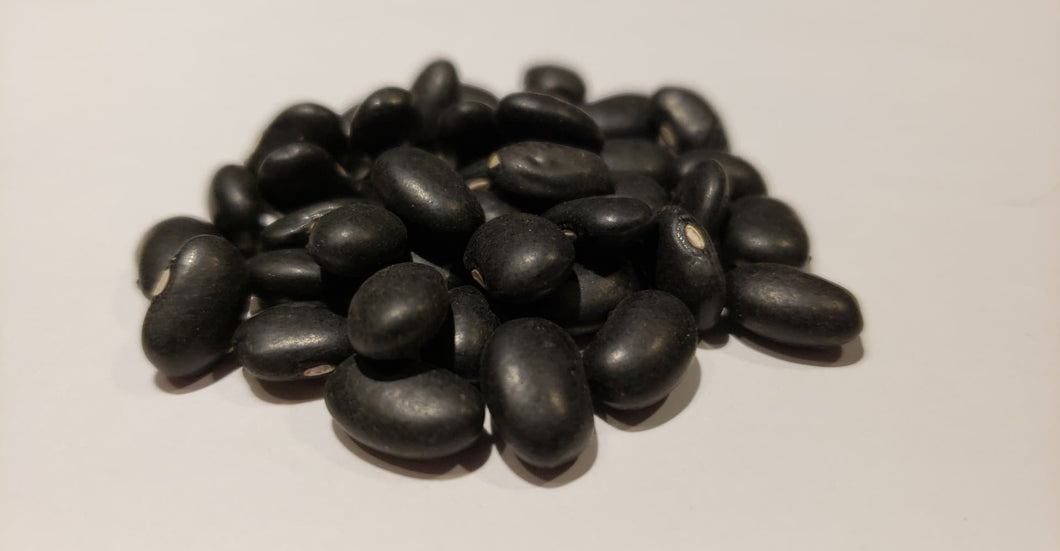 Black turtle bean