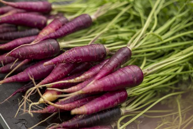 Purple Cosmic Carrot