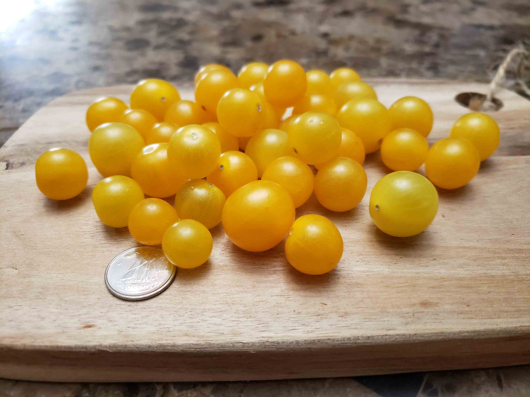 Tomate jaune (Bonbon)