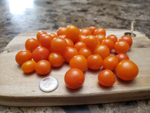 Load image into Gallery viewer, Orange SunGold Cherry Tomato
