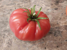 Load image into Gallery viewer, Oxheart Tomato
