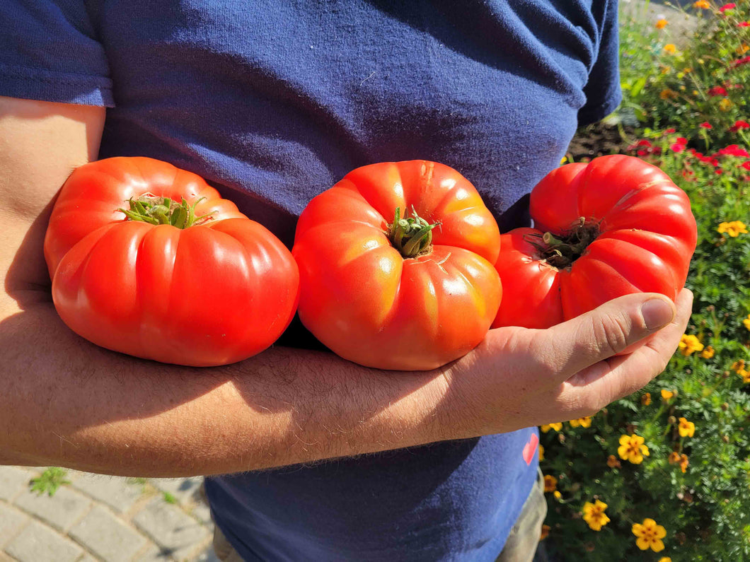 Grandma's Beauce Tomato
