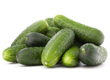 Load image into Gallery viewer, Boston Pickling Cucumber
