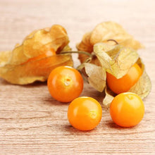 Load image into Gallery viewer, Cape Gooseberry
