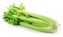 Load image into Gallery viewer, Utah Tall Celery
