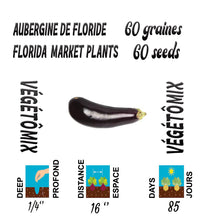 Load image into Gallery viewer, Florida Market Eggplant
