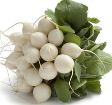 Load image into Gallery viewer, White radish
