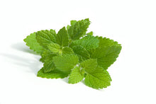Load image into Gallery viewer, Lemon balm
