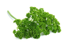 Load image into Gallery viewer, Curly Parsley
