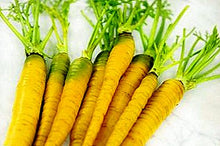 Load image into Gallery viewer, Yellow Sun Carrot
